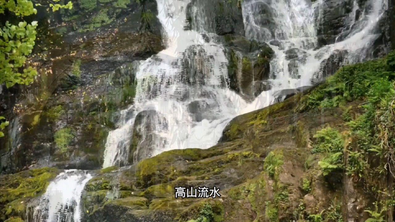 失忆症：猪猡